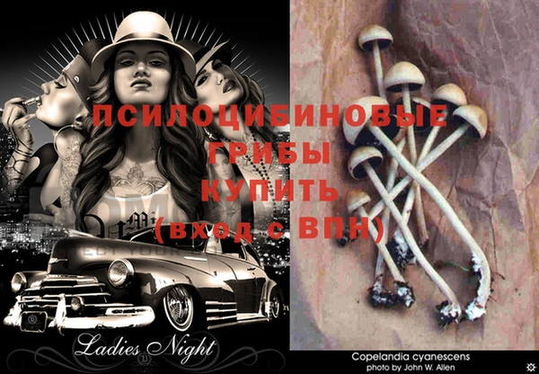 дмт Волосово