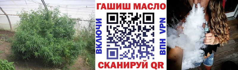 ТГК THC oil  МЕГА как зайти  Инсар 