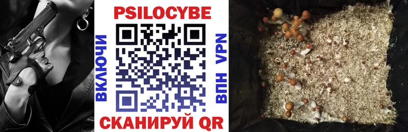 Псилоцибиновые грибы Psilocybe  продажа наркотиков  Инсар 